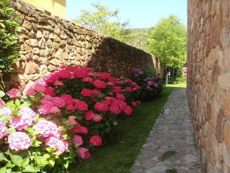 بارثانييّا Posada Los Nogales المظهر الخارجي الصورة